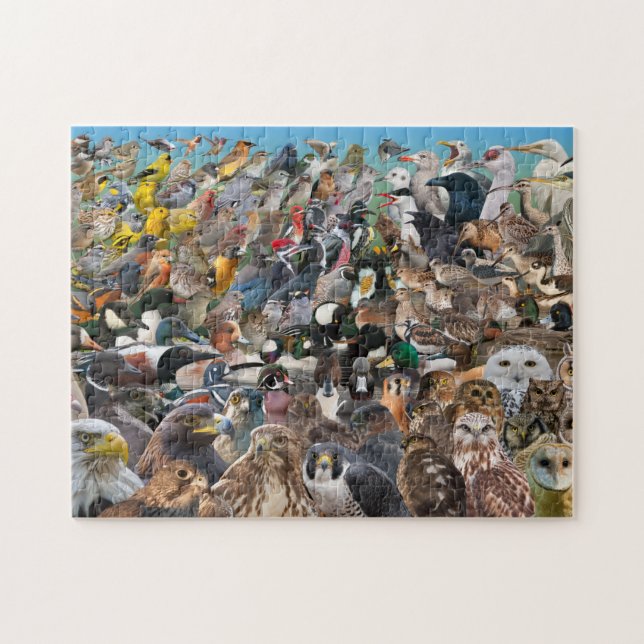 Vogelbeobachtung großes Jahr Puzzle (Horizontal)