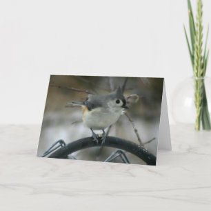 Vogelbeobachtung Karte