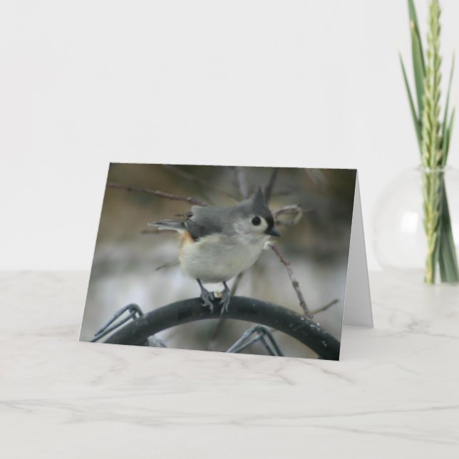 Vogelbeobachtung Karte (Vorderseite)