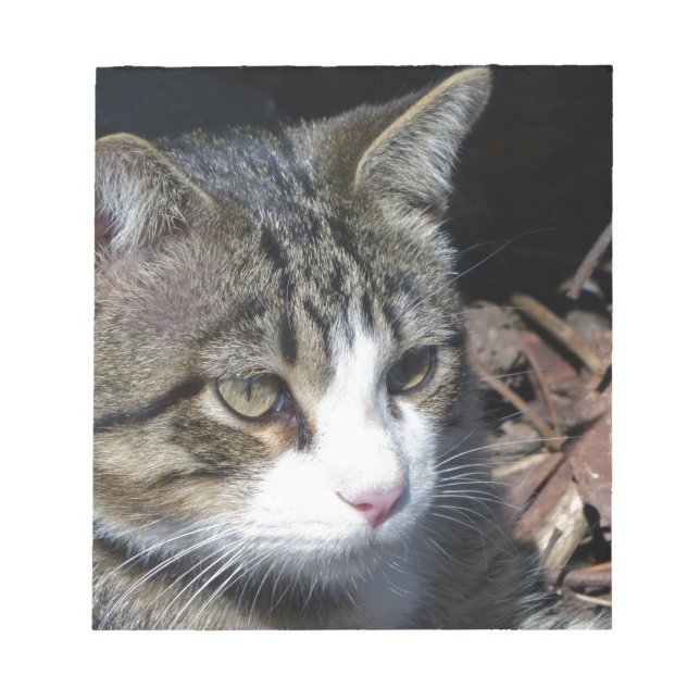 Vogelbeobachtung Notizblock (Vorderseite)