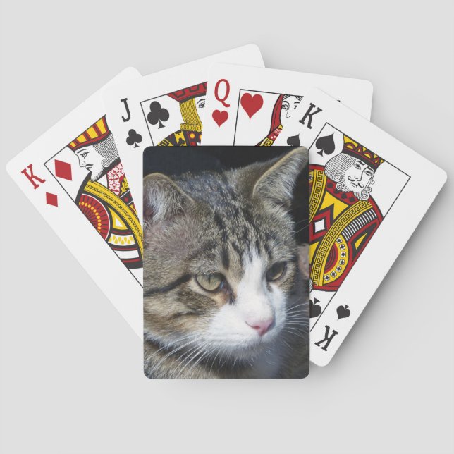 Vogelbeobachtung Spielkarten (Rückseite)