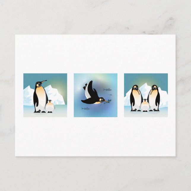 Vogelbild - Die Pinguinfamilie Postcard Postkarte (Vorderseite)