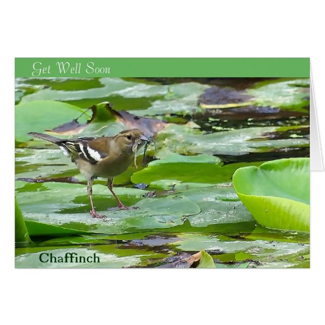 Vogelbild für Wohlfühlkarte (Vorderseite (Horizontal))