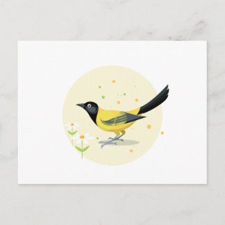 Vogelbild Postkarte