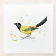 Vogelbild - Sommerfarben