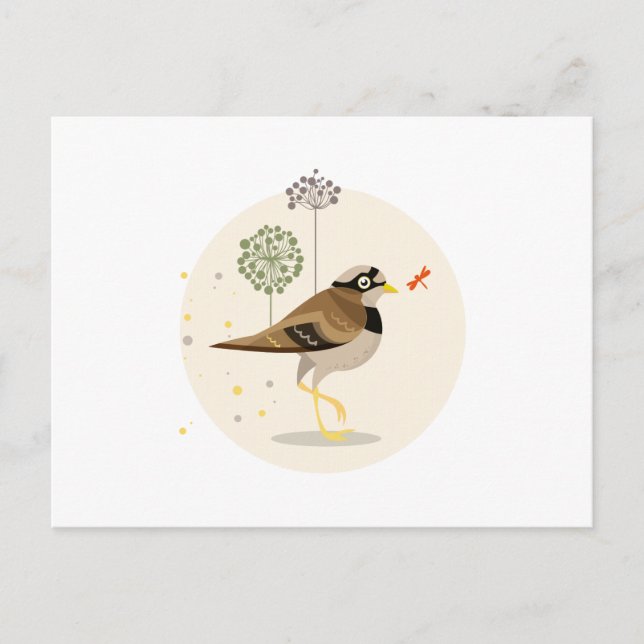 Vogelbild - Sommerfarben Postkarte (Vorderseite)