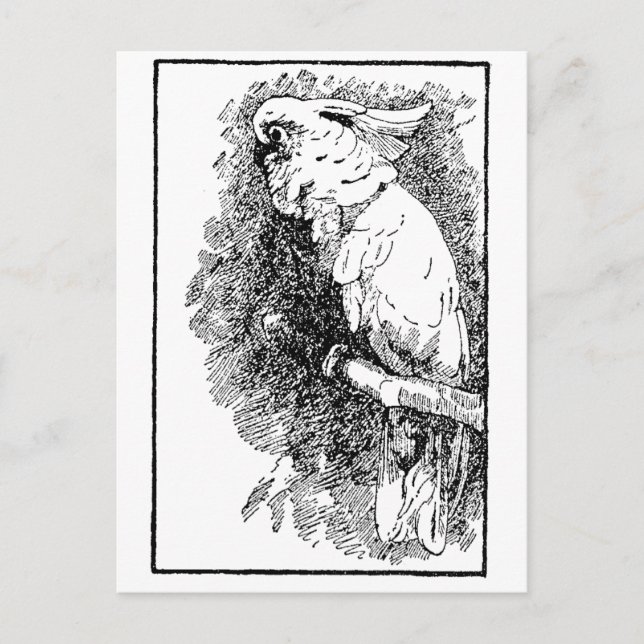 Vögelchen Postkarte (Vorderseite)
