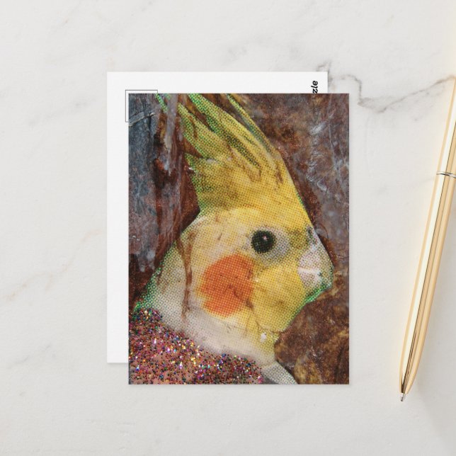 Vogelcollage Postkarte (Vorderseite/Rückseite Beispiel)