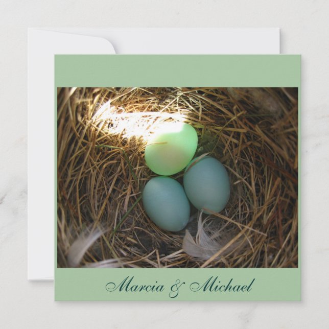 Vogeleier dreimal (Vorderseite)