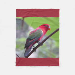 Vogelflügel Zweige Frühling Garten Glaube Fleecedecke