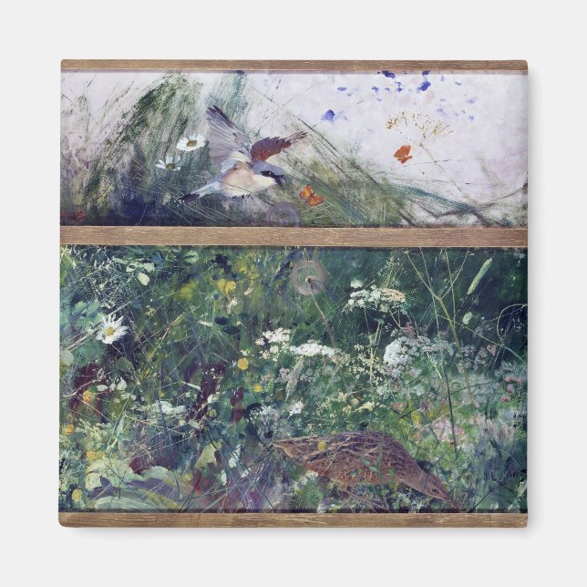 Vogelforschung, Bruno Liljefors Magnet (Vorne)