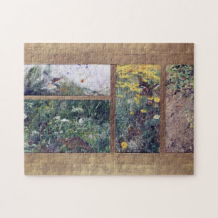 Vogelforschung, Bruno Liljefors Puzzle