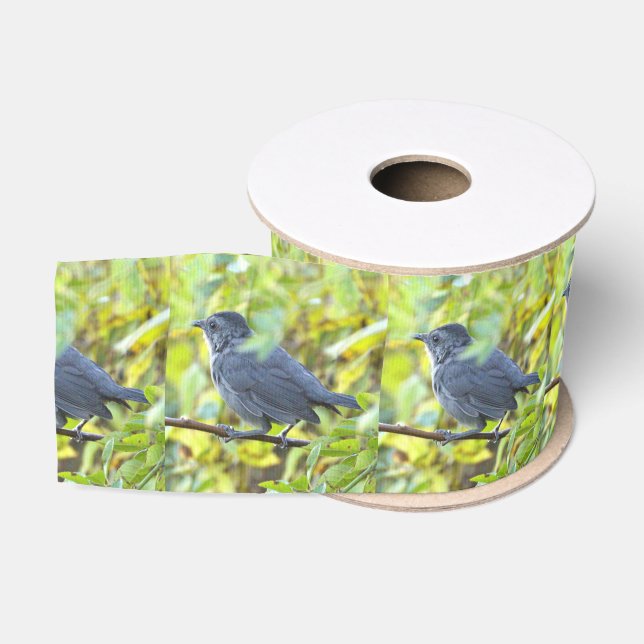 Vogelfoto-Schleife Ripsband (Spule)