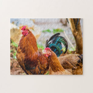 Vogelfotografie - Beste Fotos für Wildtiere Puzzle