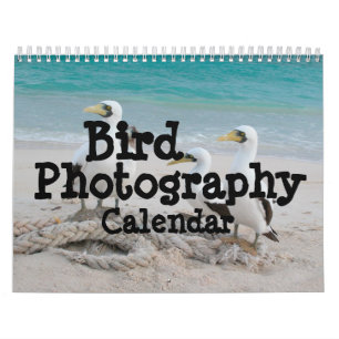 Vogelfotografie Kalender