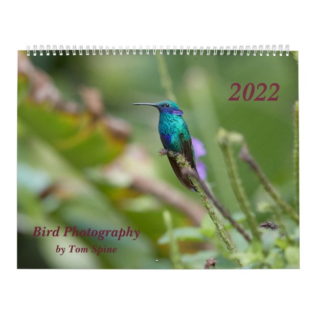 Vogelfotografie von Tom Spine, 2022 Kalender (Titelbild)