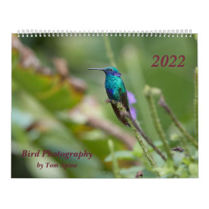Vogelfotografie von Tom Spine, 2022 Kalender