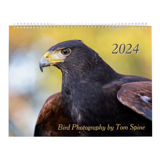 Vogelfotografie von Tom Spine - 2024 Kalender (Titelbild)