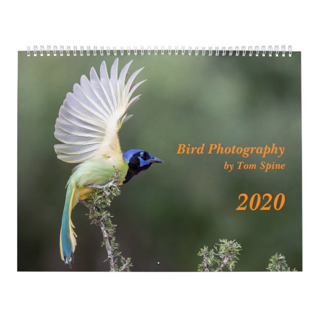 Vogelfotografie von Tom Spine, Kalender 2020 (Titelbild)