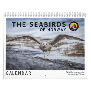 Vogelfotografien 2027 kalender