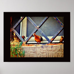 Vogelfreunde Poster