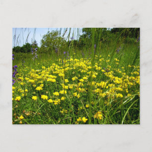 Vogelfuß-Postkarte Postkarte