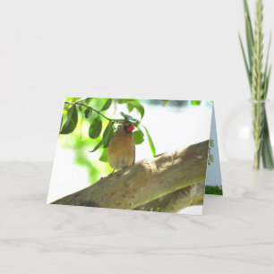 Vogelgeklappte Karte des Kardinals