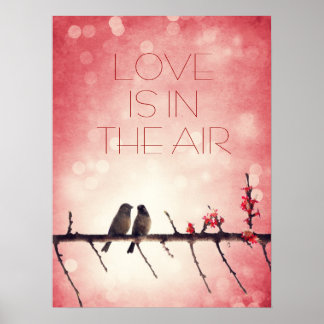Vogelgeschichte Poster