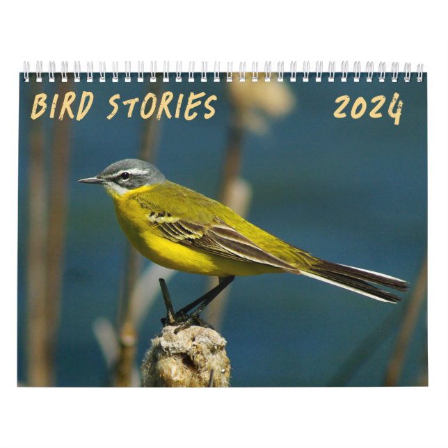 "Vogelgeschichten" Vogelkalender des Fotos Kalender (Titelbild)