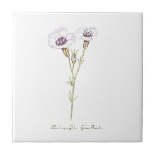 Vogelgesicht-Gilia-Aquarell Fliese