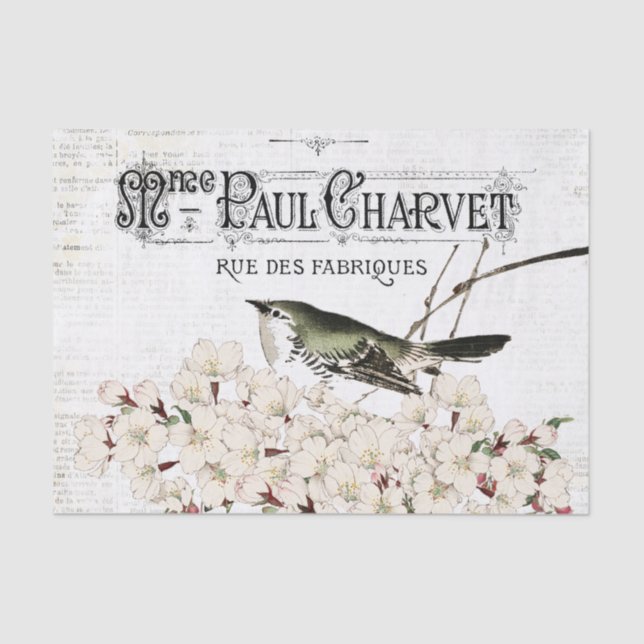 Vogelgezwirnpapier Seidenpapier (Vorderseite)