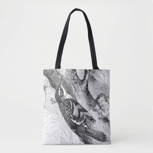 Vogelgravings - ein Treecreeper. Birdwatcher (Vorderseite)