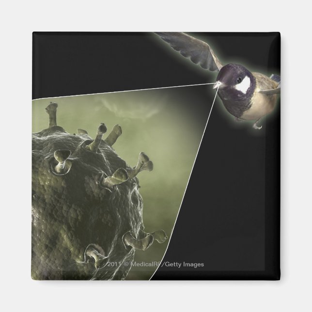 Vogelgrippe aus Vögeln Magnet (Vorne)