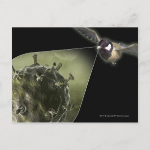 Vogelgrippe aus Vögeln Postkarte