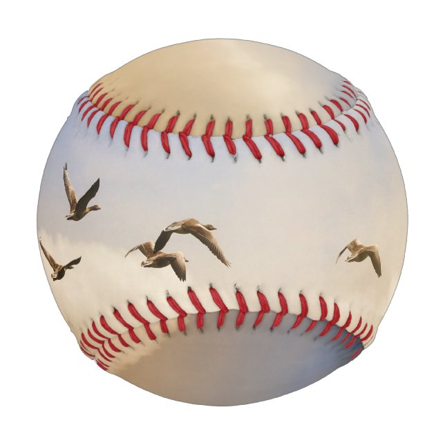 Vogelgrippe im Flug Baseball (Rückseite)