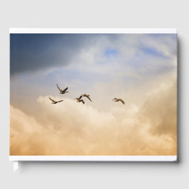 Vogelgrippe im Flug Gästebuch