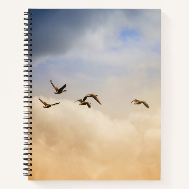Vogelgrippe im Flug Notizbuch (Vorderseite)