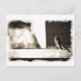Vogelgrippe in Sepia Postkarte