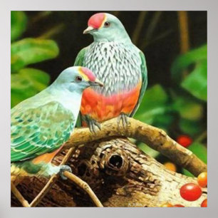 Vogelgrün Poster