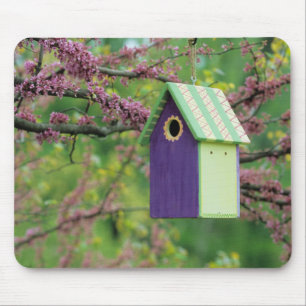 Vogelhaus auf einem Judasbaum Mousepad