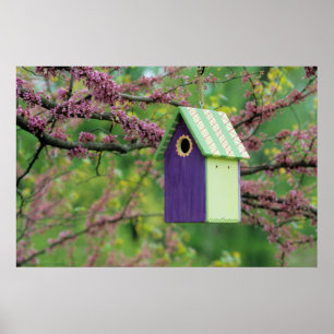 Vogelhaus auf einem Judasbaum Poster