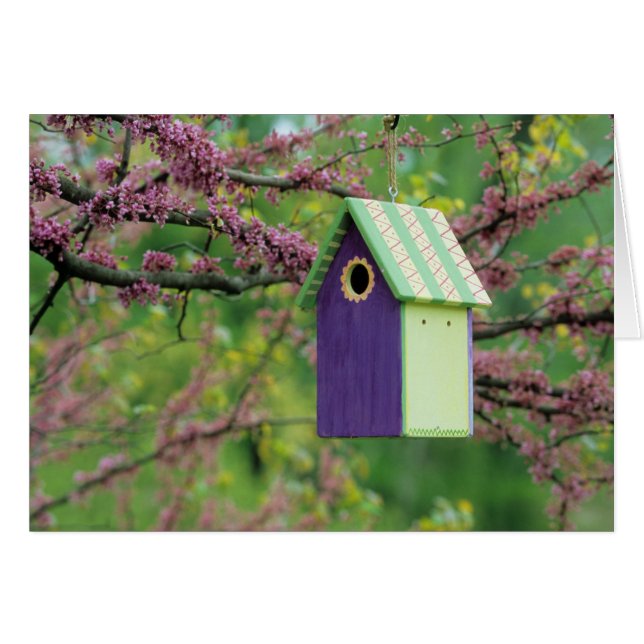 Vogelhaus auf einem Redbud-Baum (Vorderseite (Horizontal))