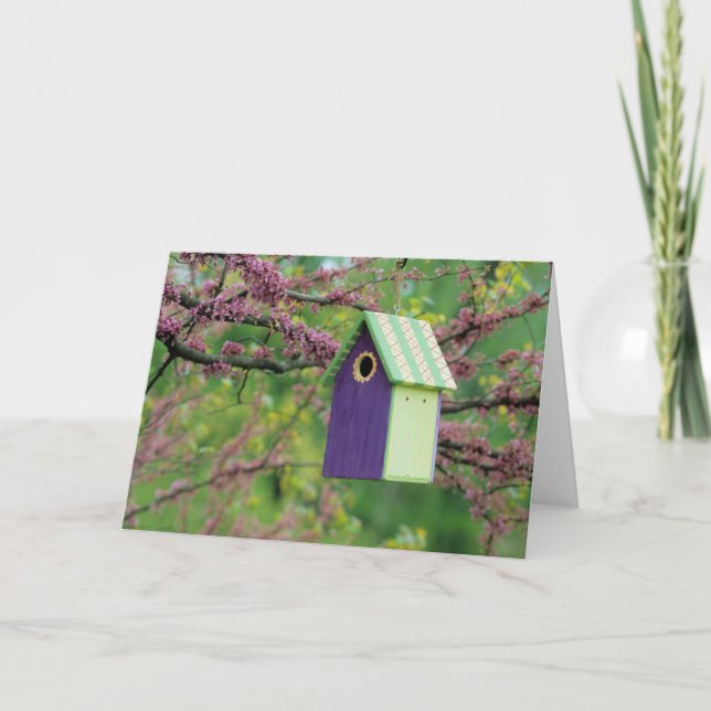 Vogelhaus auf einem Redbud-Baum Karte (Vorderseite)