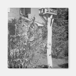 Vogelhaus im Garten Magnet