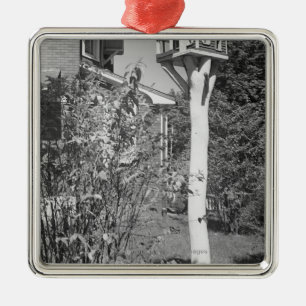 Vogelhaus im Garten Silbernes Ornament