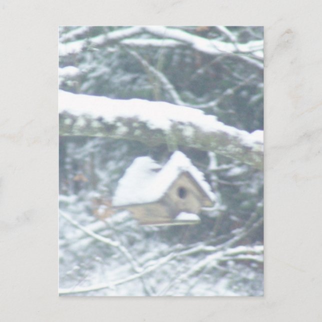 Vogelhaus im Schnee Postkarte (Vorderseite)