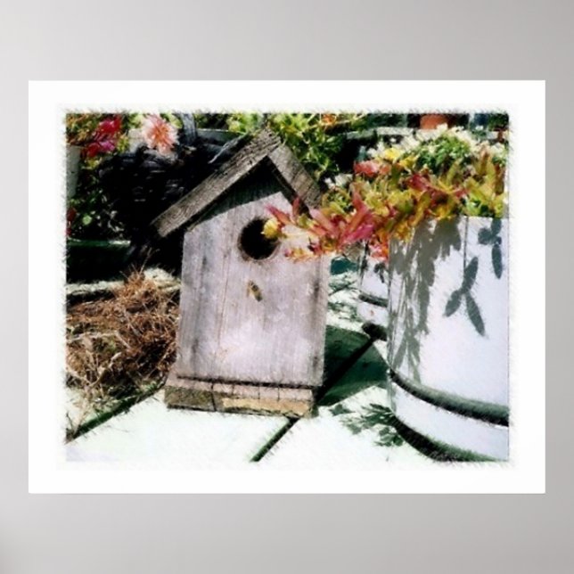 Vogelhaus Poster (Vorne)