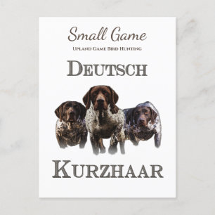 Vogelhund , Vogeljagd in Upland Postkarte