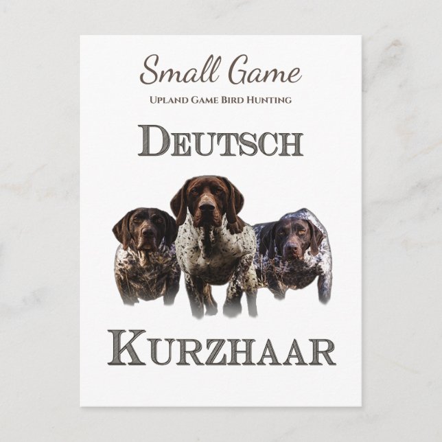 Vogelhund , Vogeljagd in Upland Postkarte (Vorderseite)
