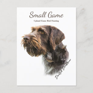 Vogelhund , Vogeljagd in Upland Postkarte